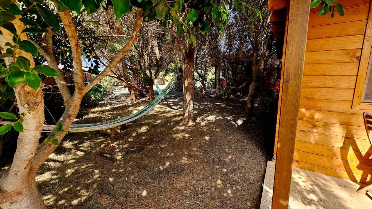 Cabanalanz, Cabanas En Lanzarote San Bartolomé Extérieur photo