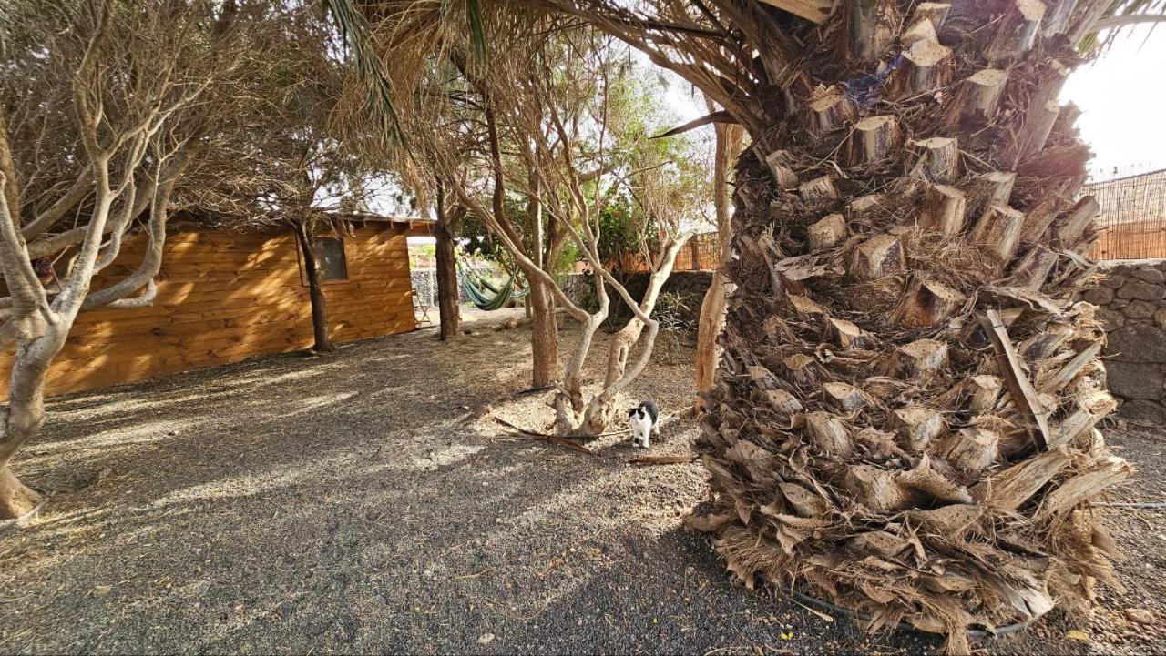 Cabanalanz, Cabanas En Lanzarote San Bartolomé Extérieur photo